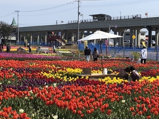 地域の現状と課題の写真