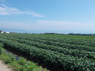 地域の現状と課題の写真
