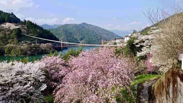 集落活動センター奥物部の写真