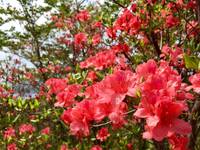 これからの地域の写真