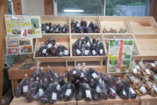 これからの地域の写真