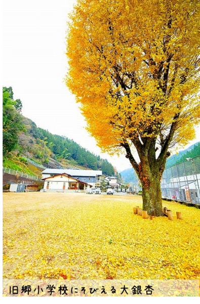 集落活動センター「奥四万十の郷」の写真