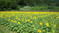 これからの地域の写真