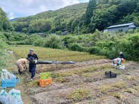 これからの地域の写真