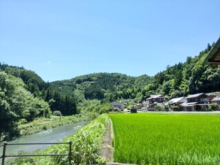 地域の現状と課題の写真