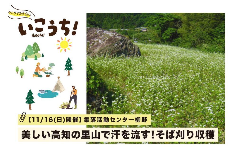 柳野